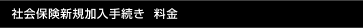 社会保険新規加入手続き  料金