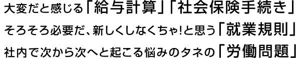 大変だと感じる「給与計算」「社会保険手続き」そろそろ必要だ、新しくしなくちゃ！と思う「就業規則」社内で次から次へと起こる悩みのタネの「労働問題」